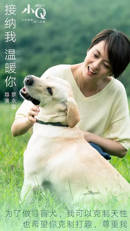 继承大学成绩单电子图